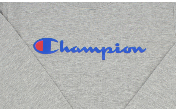 CHAMPION CONTEMPORARY CLASSICS FALL FLEECE_MOBILE-PIC2