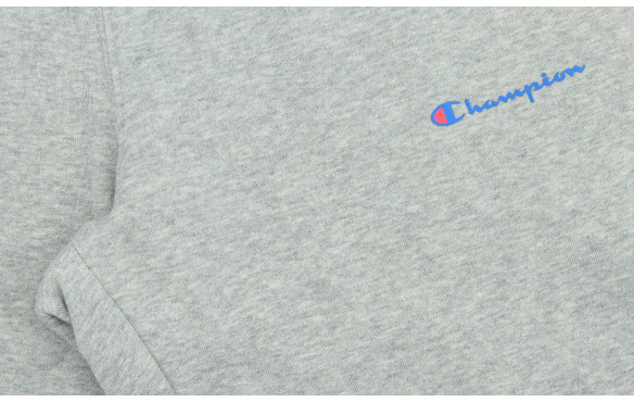 CHAMPION CONTEMPORARY CLASSICS FALL FLEECE_MOBILE-PIC3